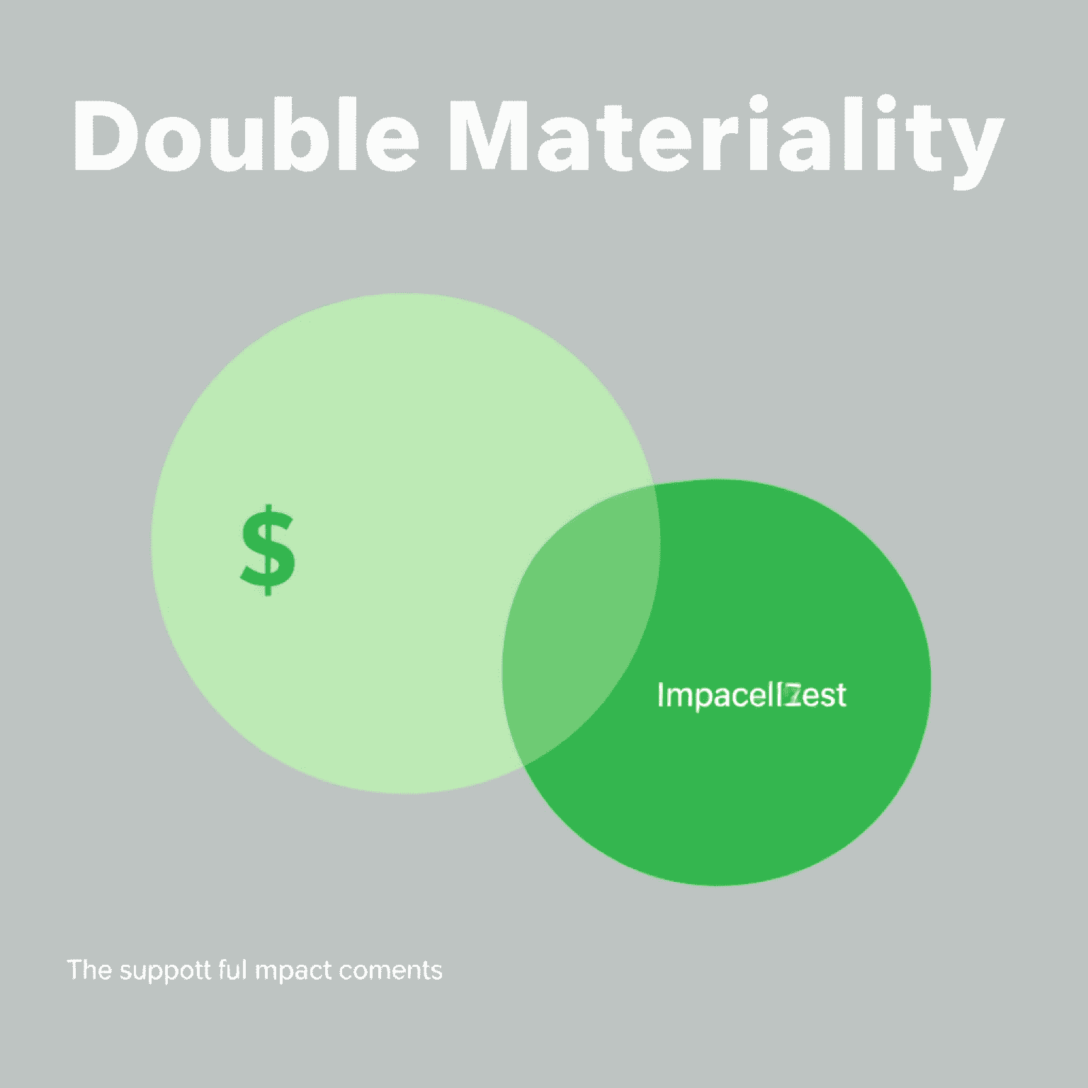Double Materiality Concept